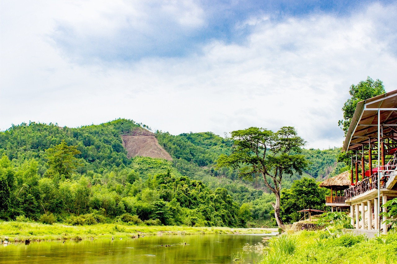 mountain forest independence free photo