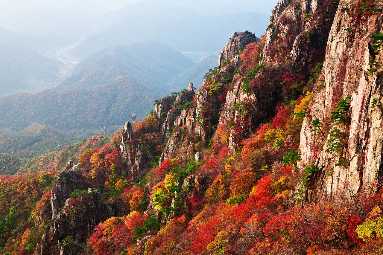 mountain autumn leaves autumn free photo