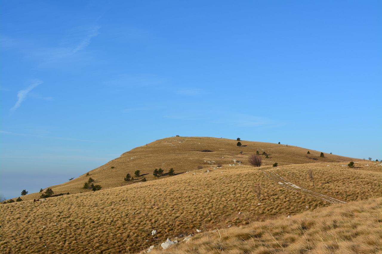 mountain green grass free photo