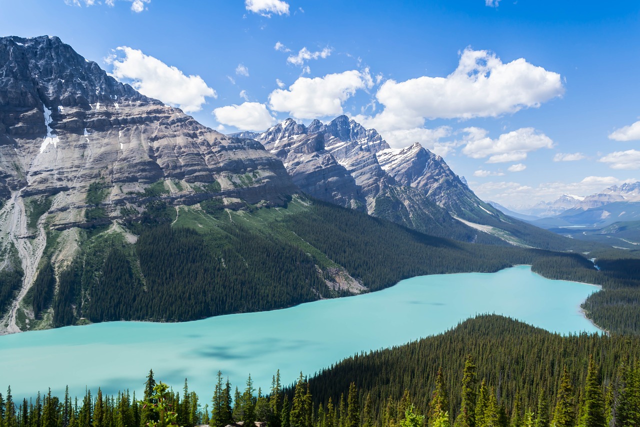 peyto lake mountain landscape free photo