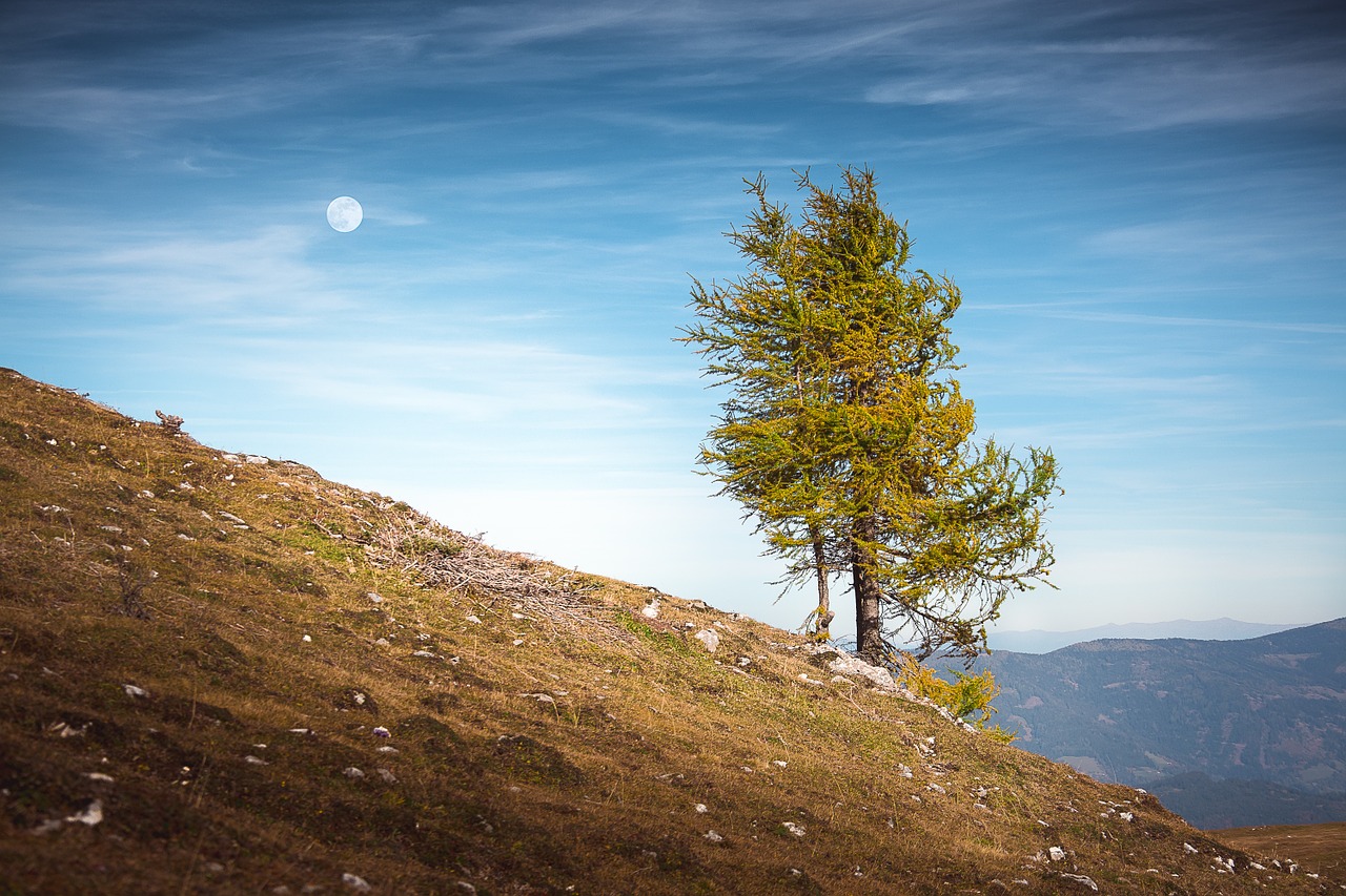 mountain sky alps free photo