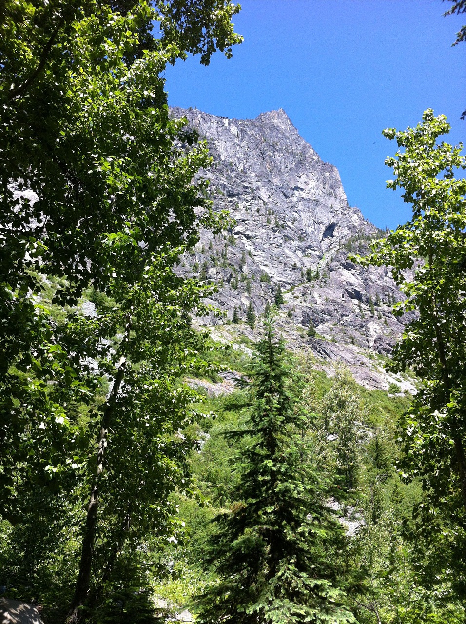 mountain trees cascades free photo
