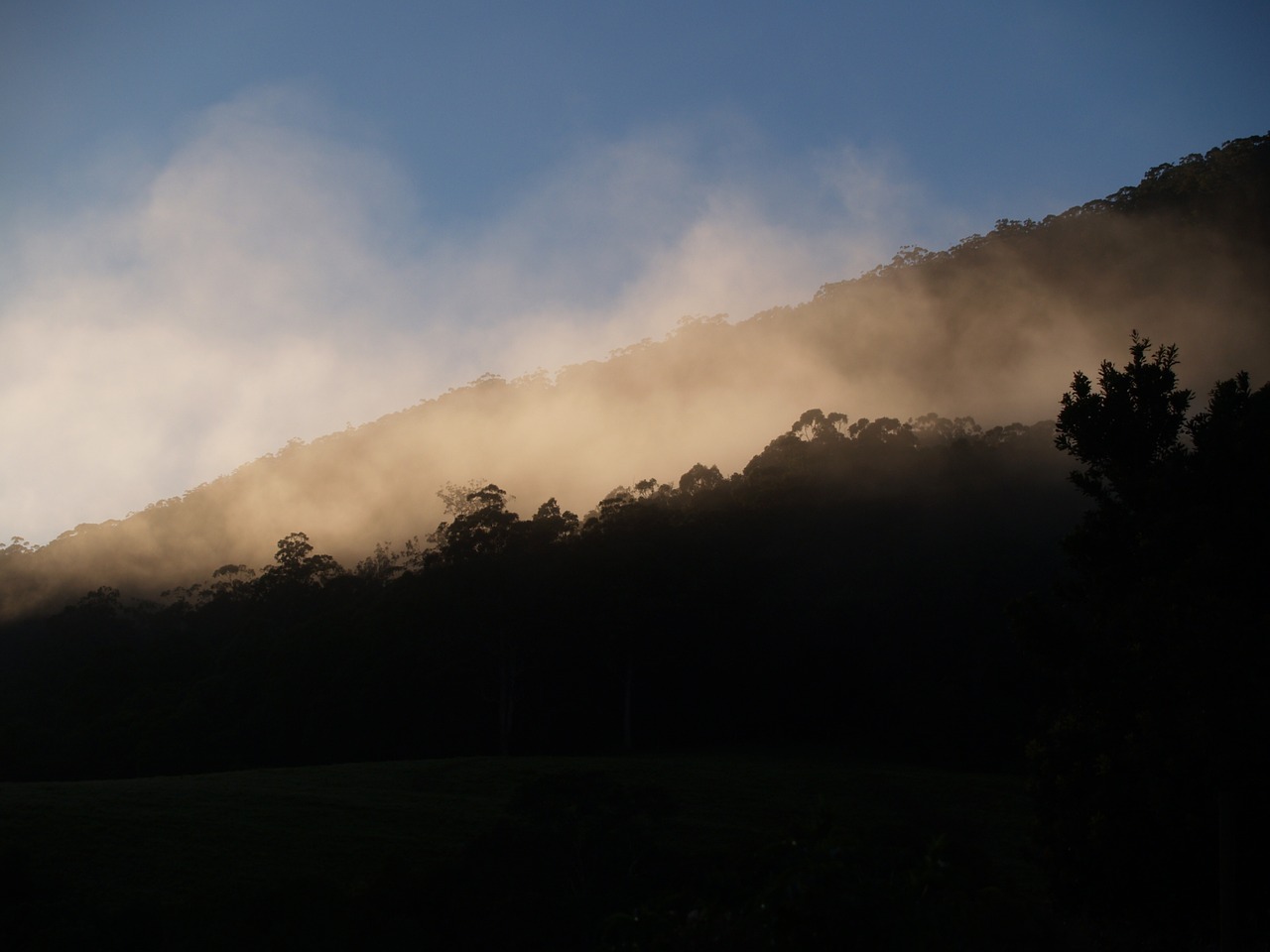 mountain fog morning free photo