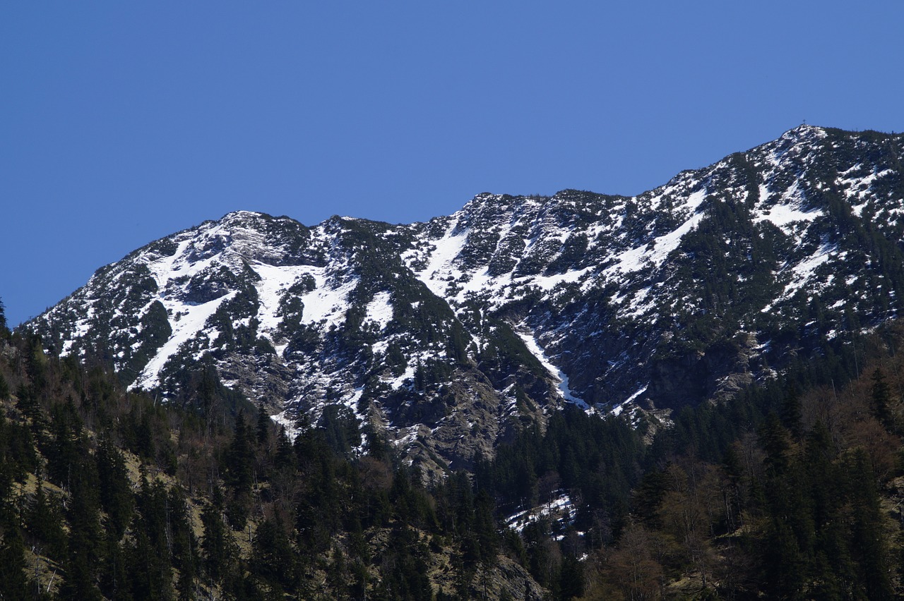 mountain spring alpine free photo