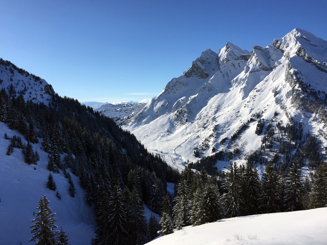 mountain alps snow free photo