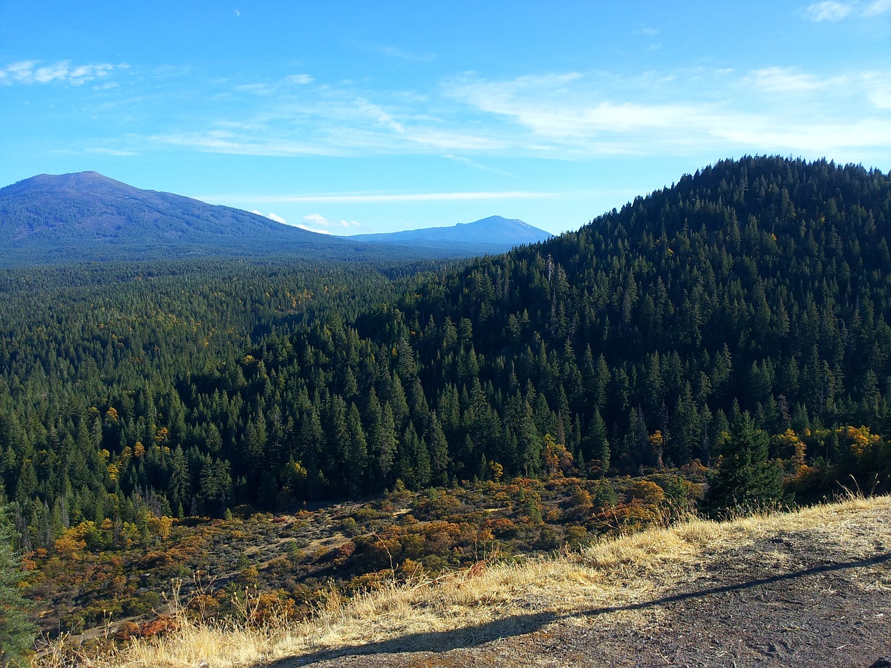 mountain trees scenic free photo