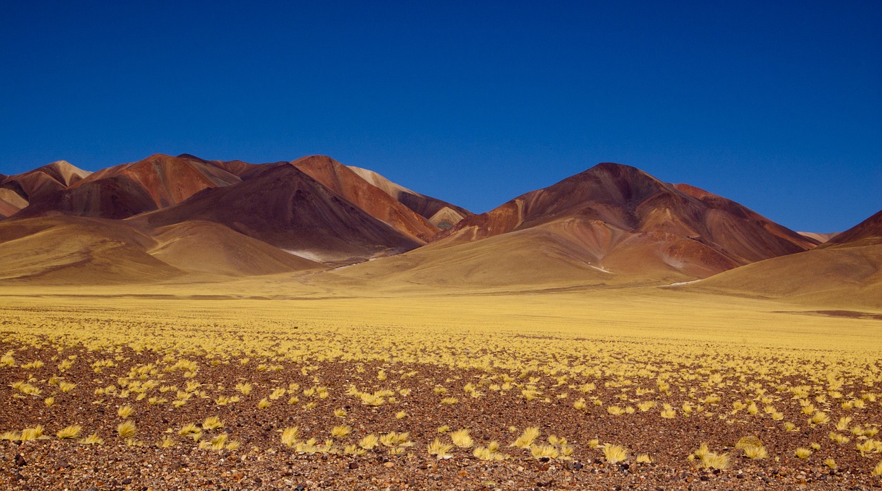 mountain argentina nature free photo