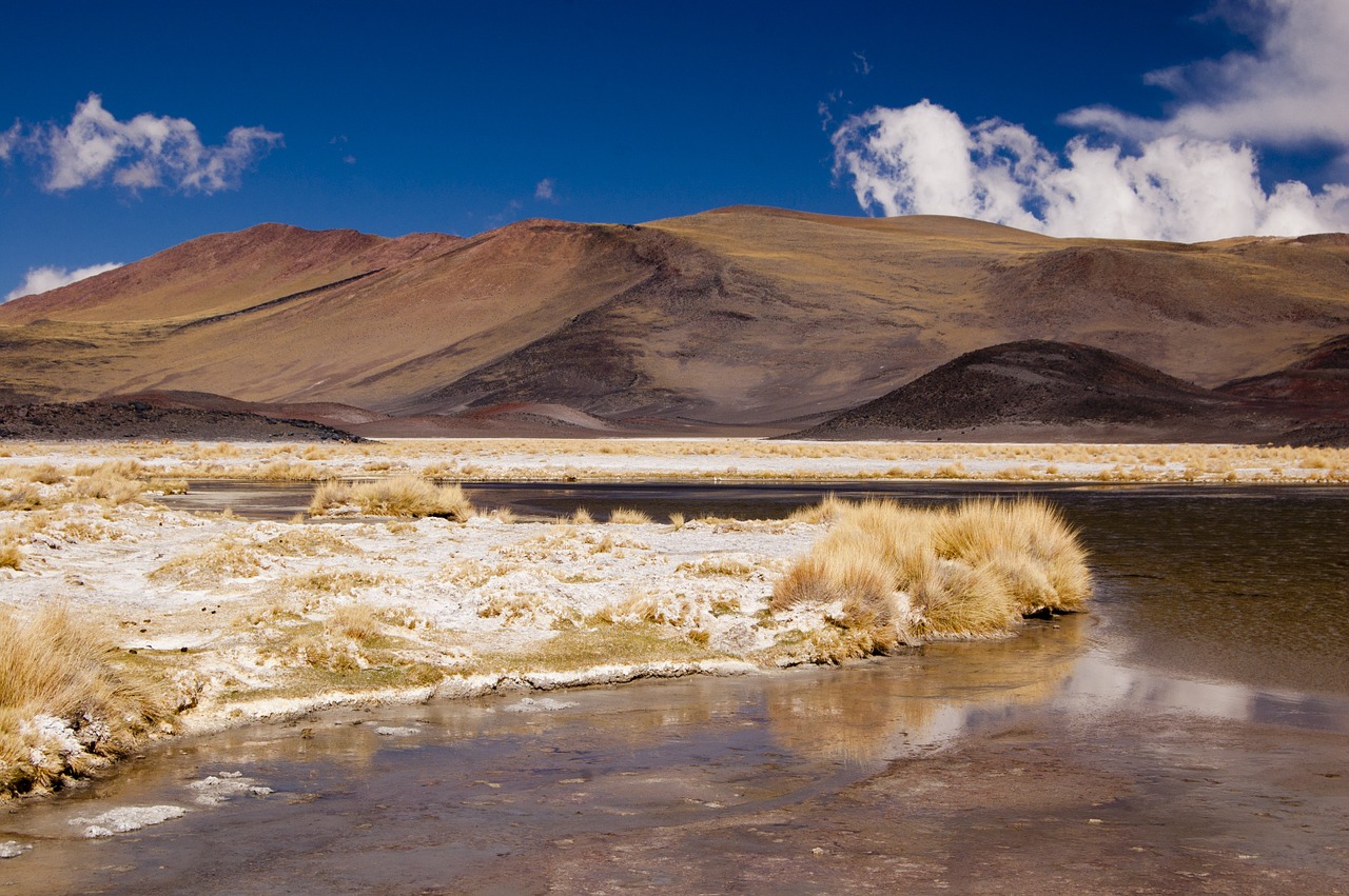 mountain argentina nature free photo