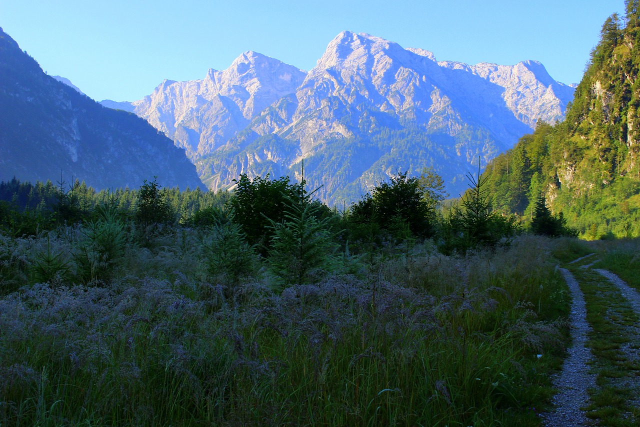 mountain away meadow free photo