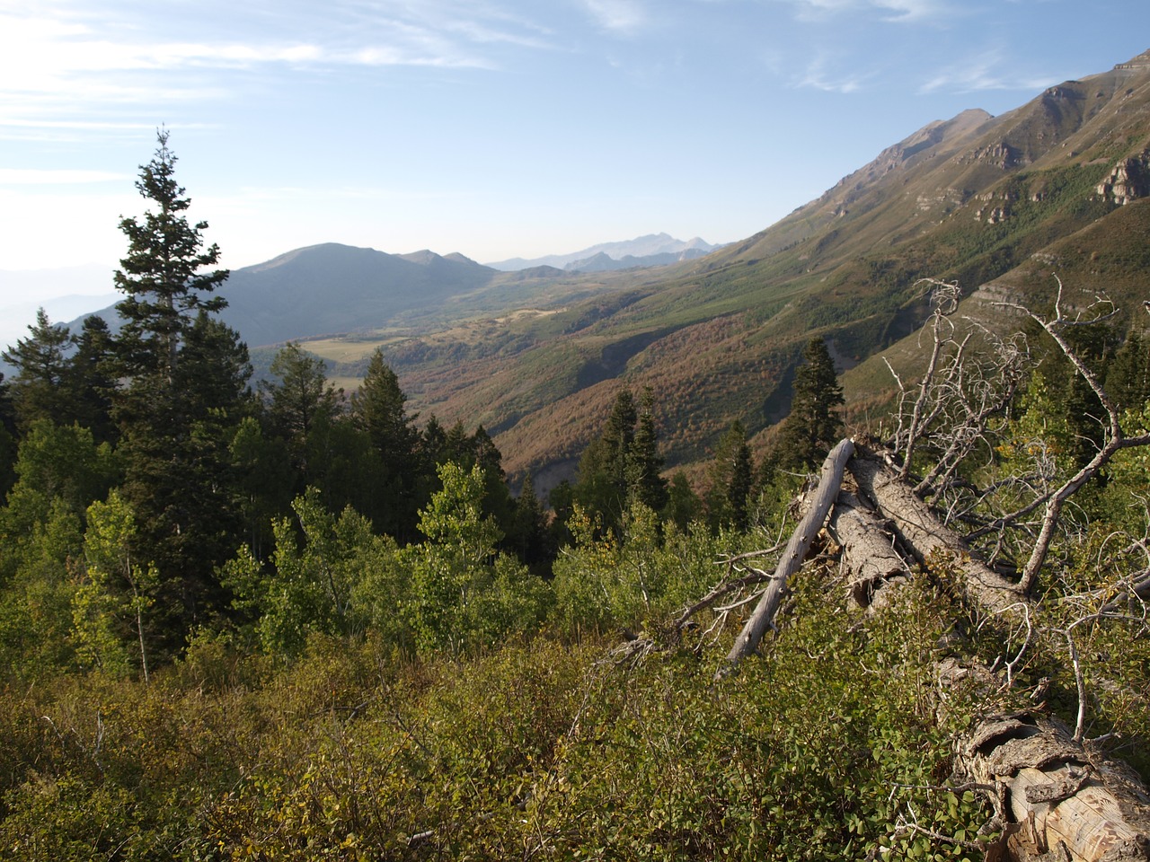 mountain sky trees free photo