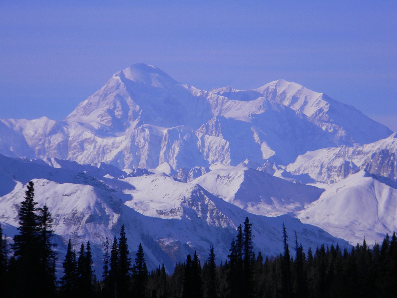 mountain denali alaska free photo