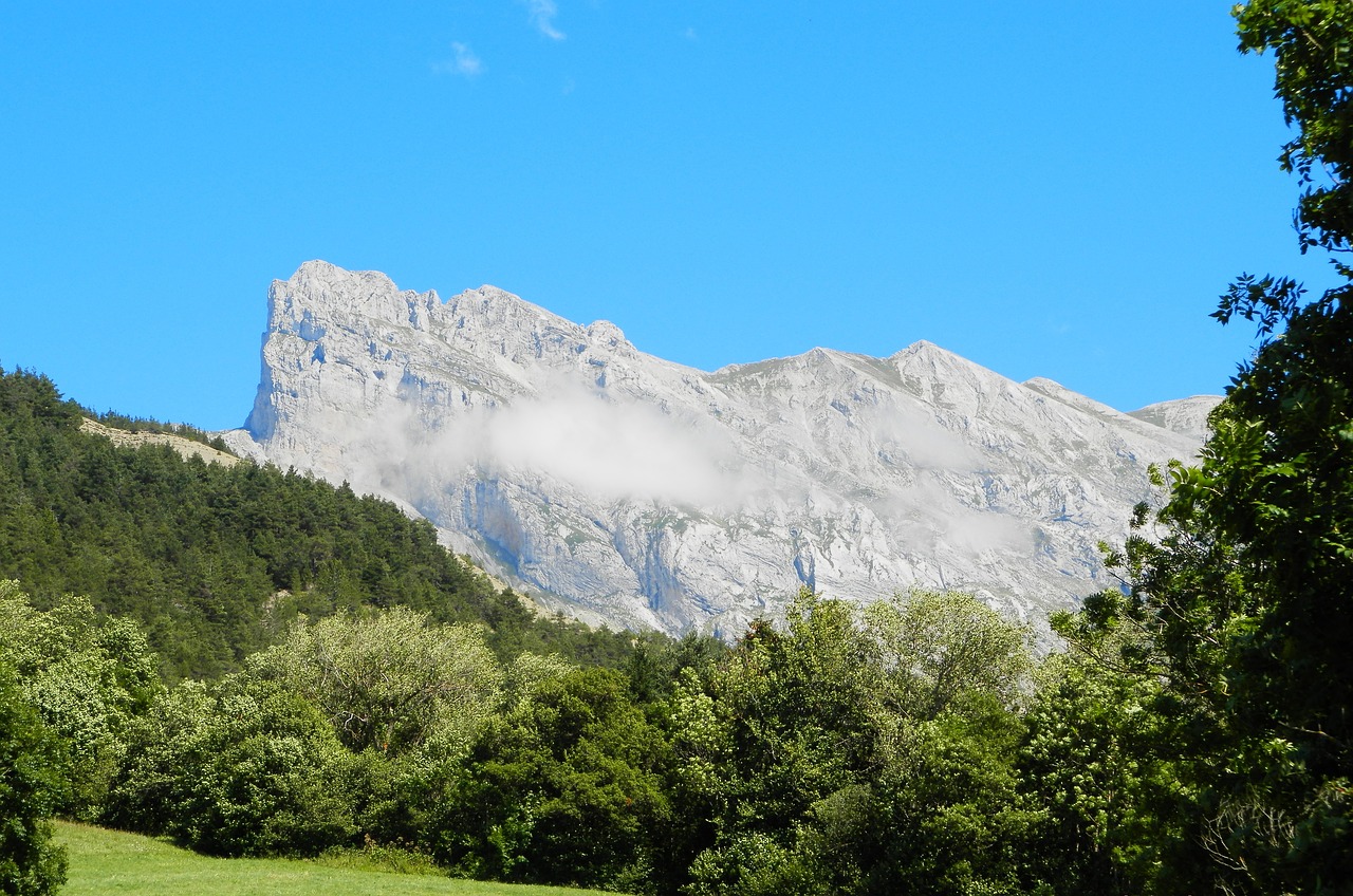 mountain blue sky tree free photo