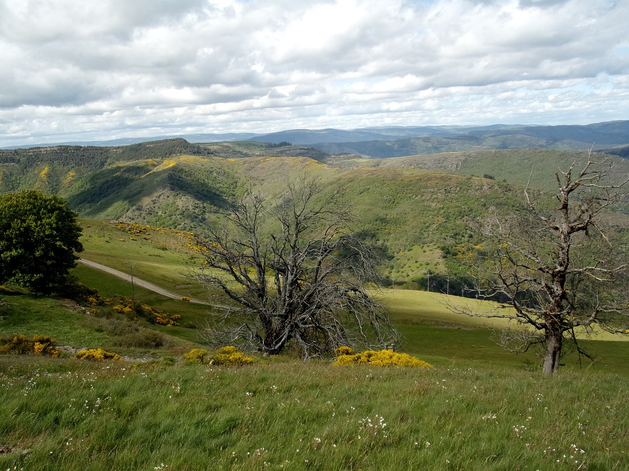 mountain cévennes nature free photo