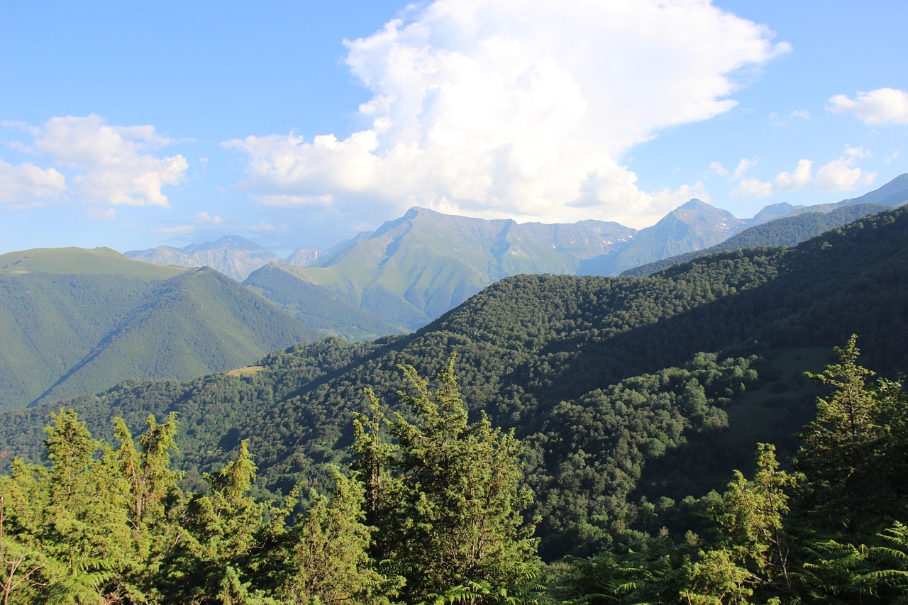 mountain landscape panorama free photo