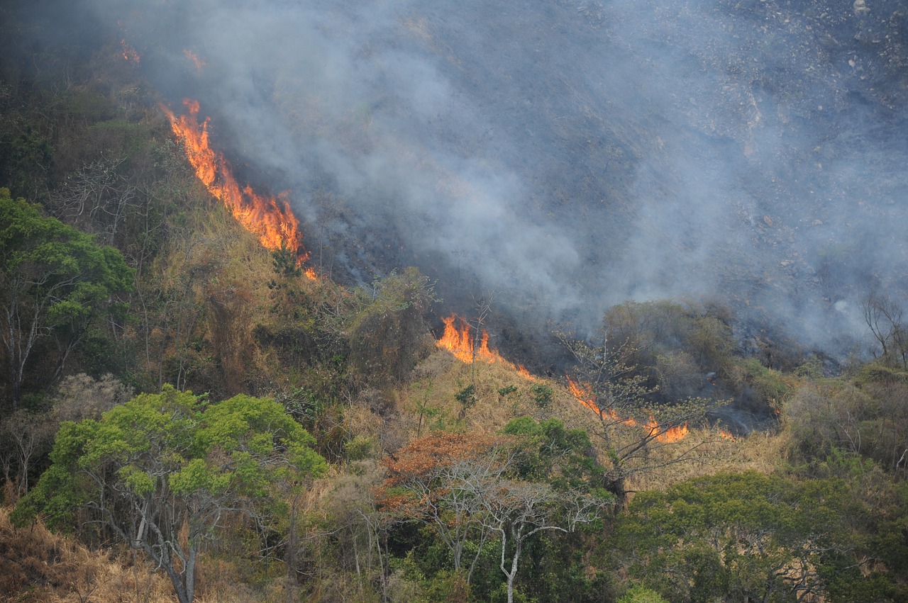 mountain fire disaster free photo