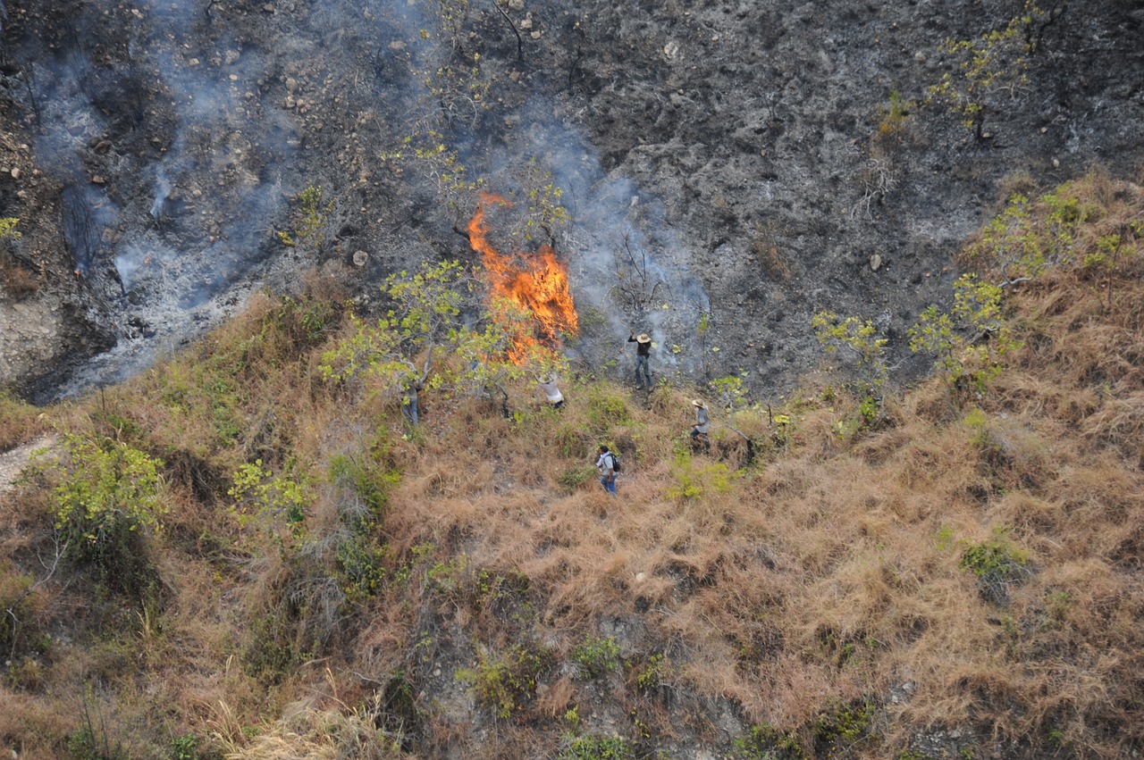 mountain fire disaster free photo