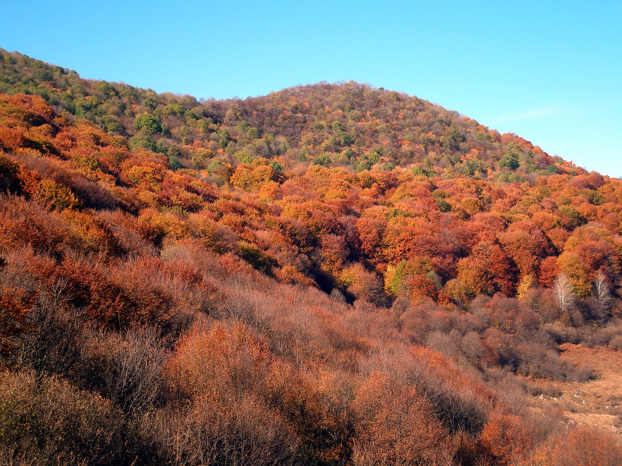 mountain autumn landscape free photo