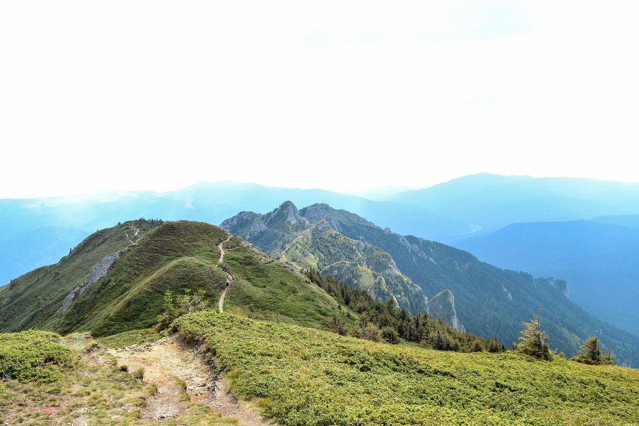 mountain road landscape free photo