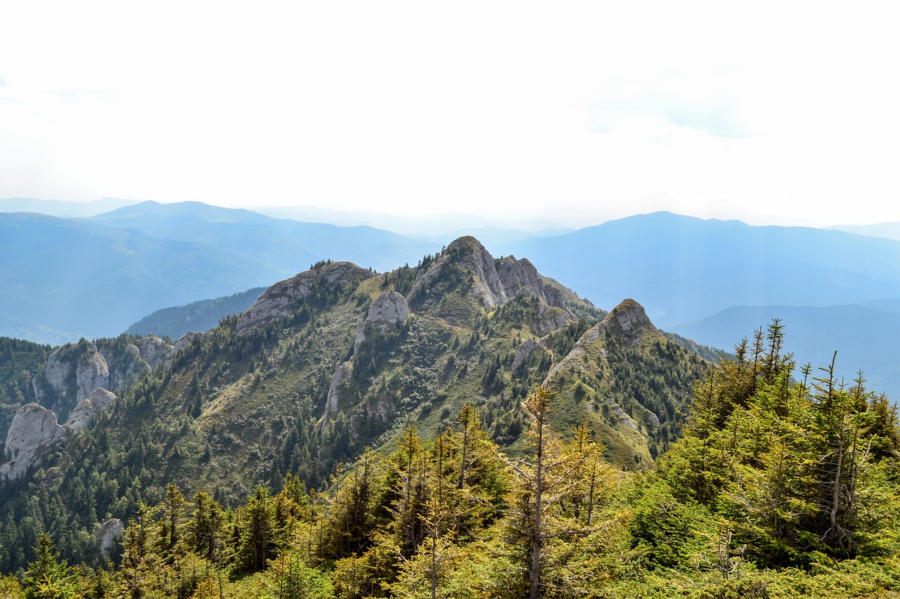 mountain forest landscape free photo