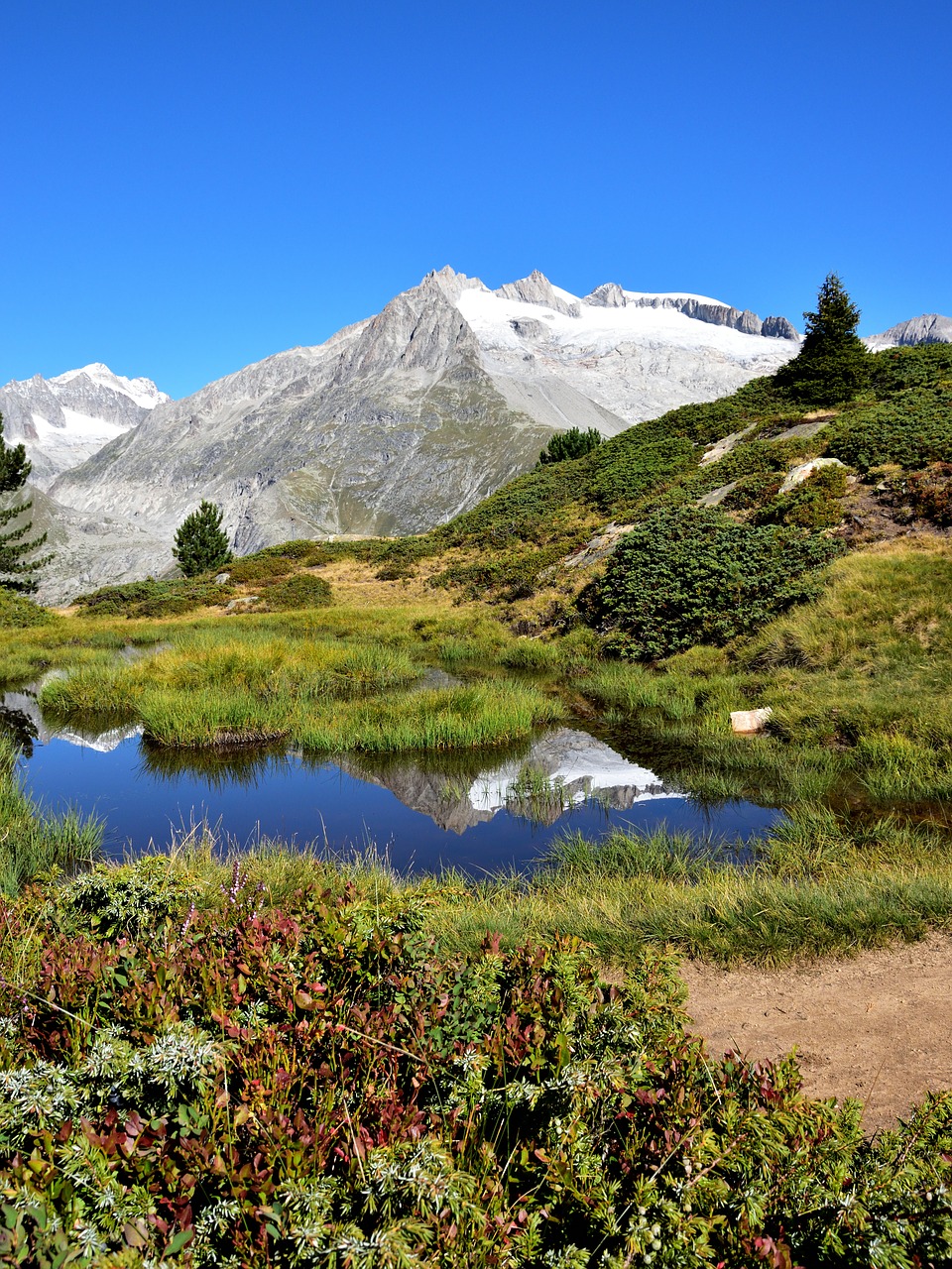 mountain pond landscape free photo