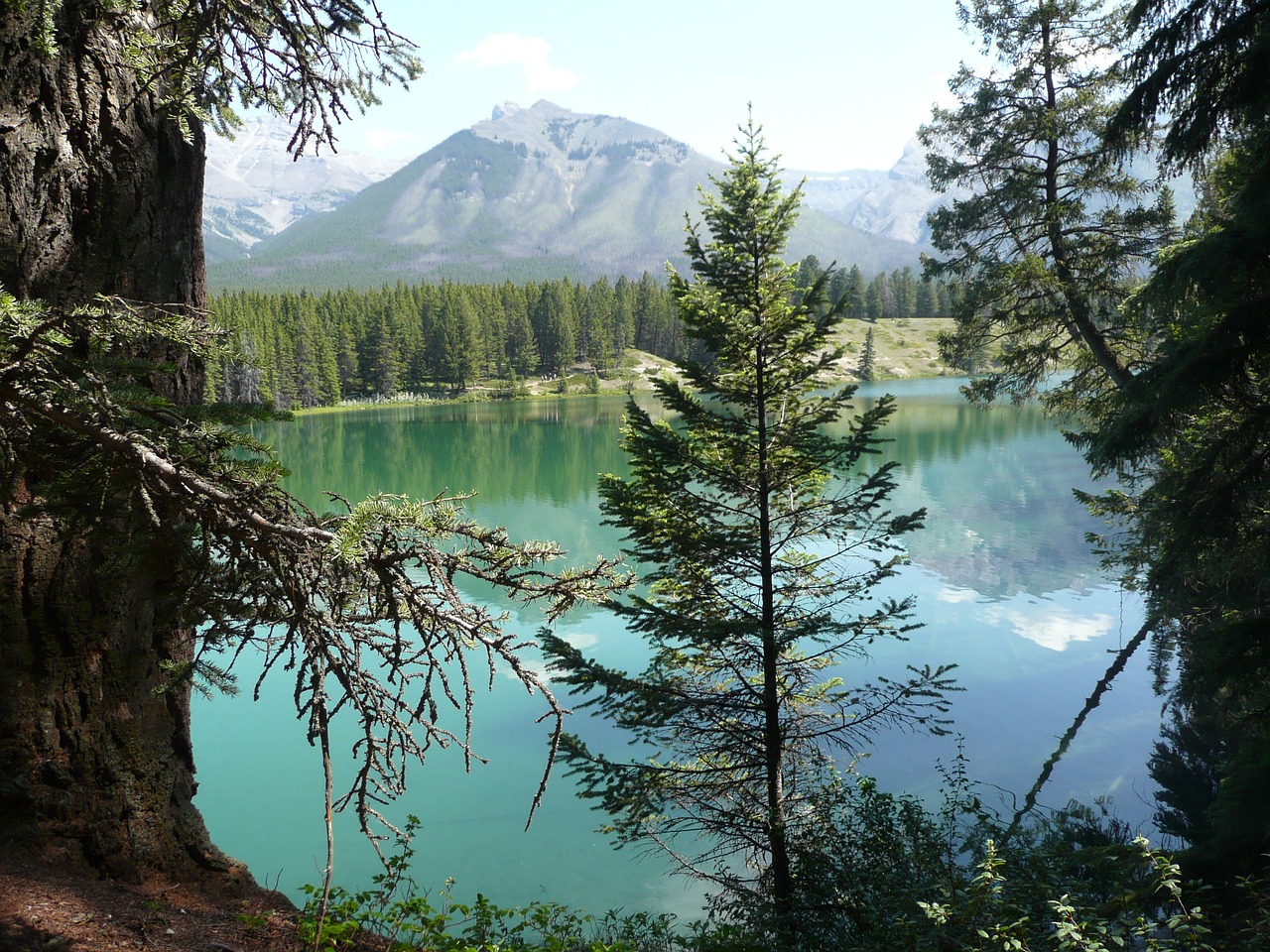 mountain lake alberta free photo