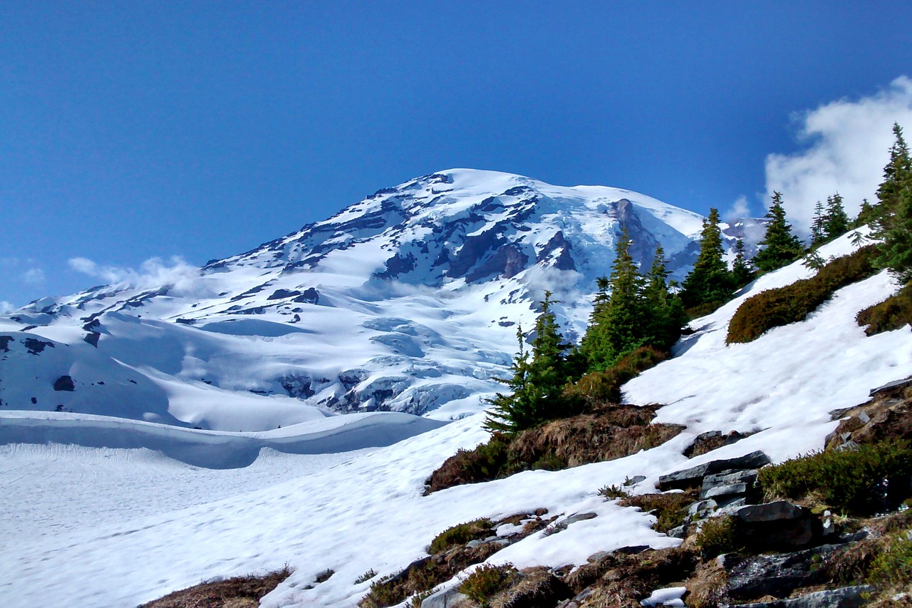 mountain rainier washington free photo