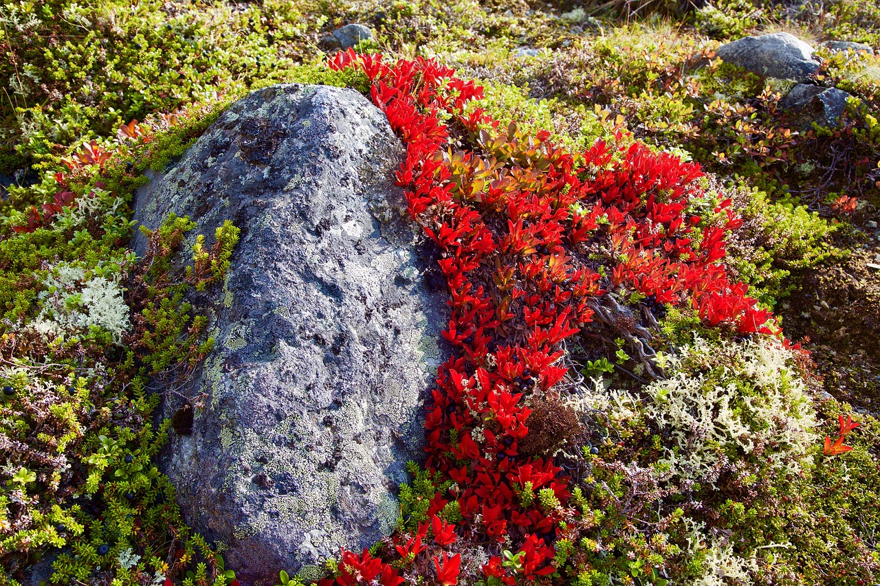 mountain hiking norway free photo