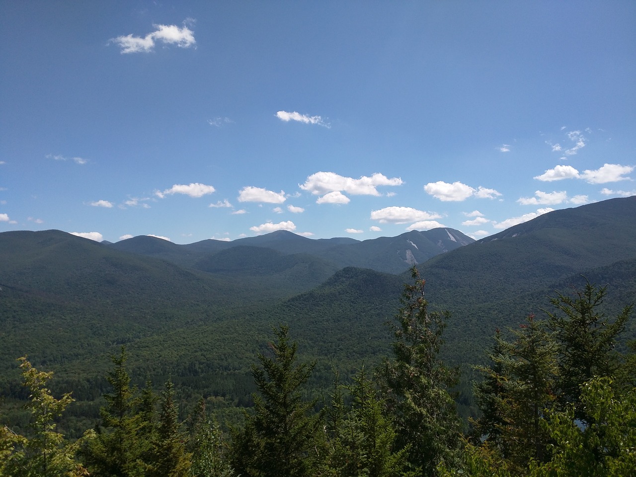 mountain forest nature free photo