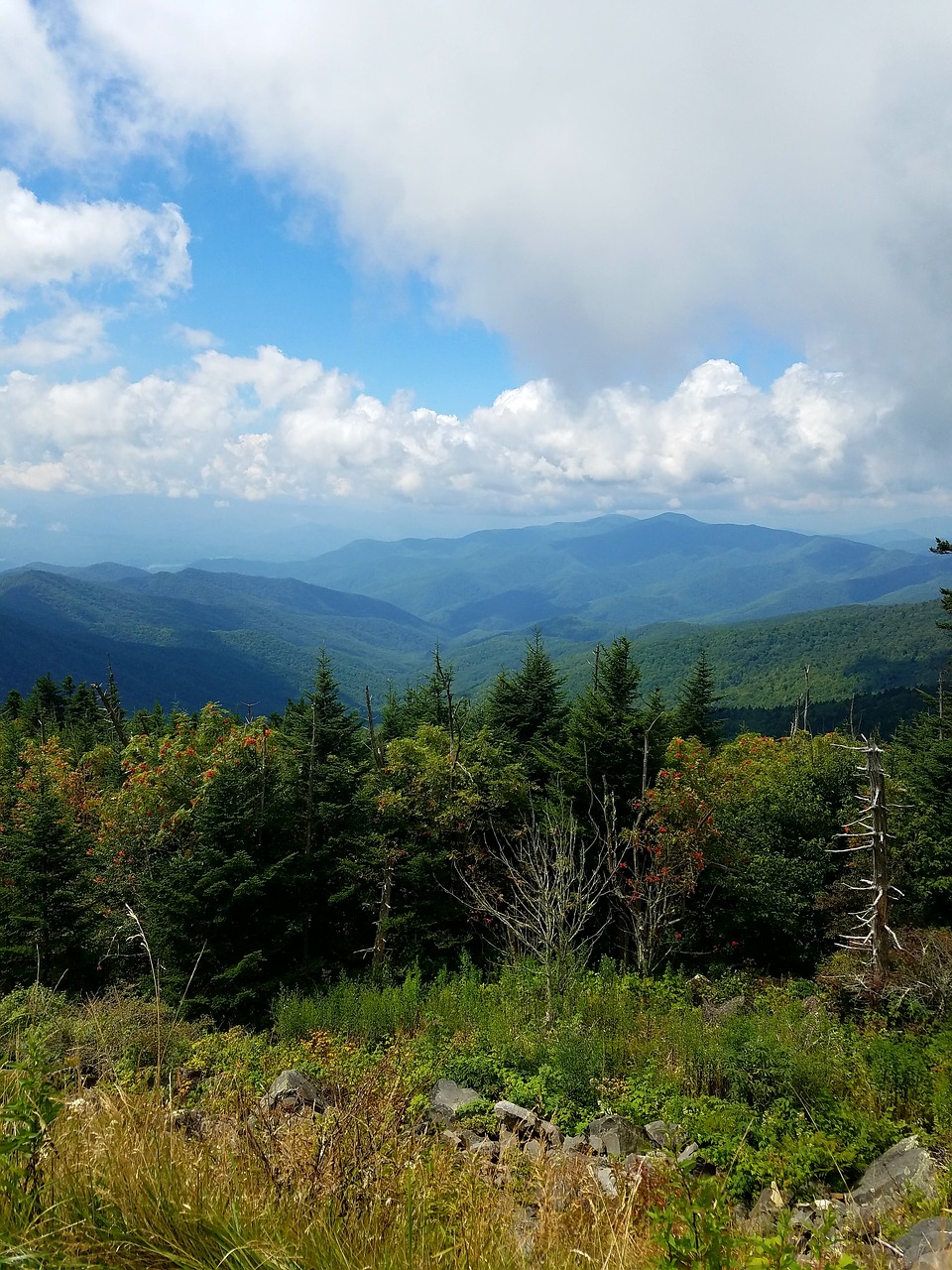 mountain smokey landscape free photo