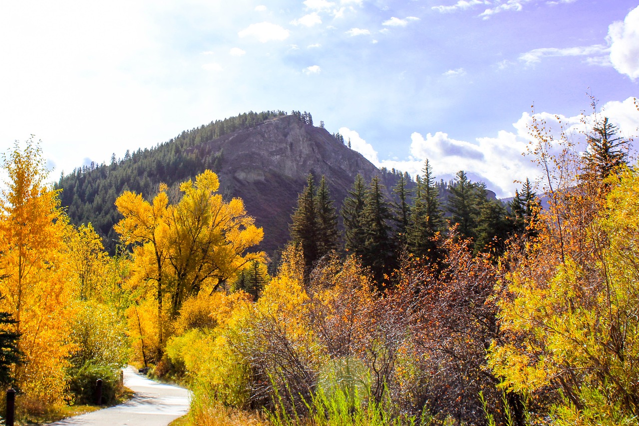 mountain trail autumn free photo