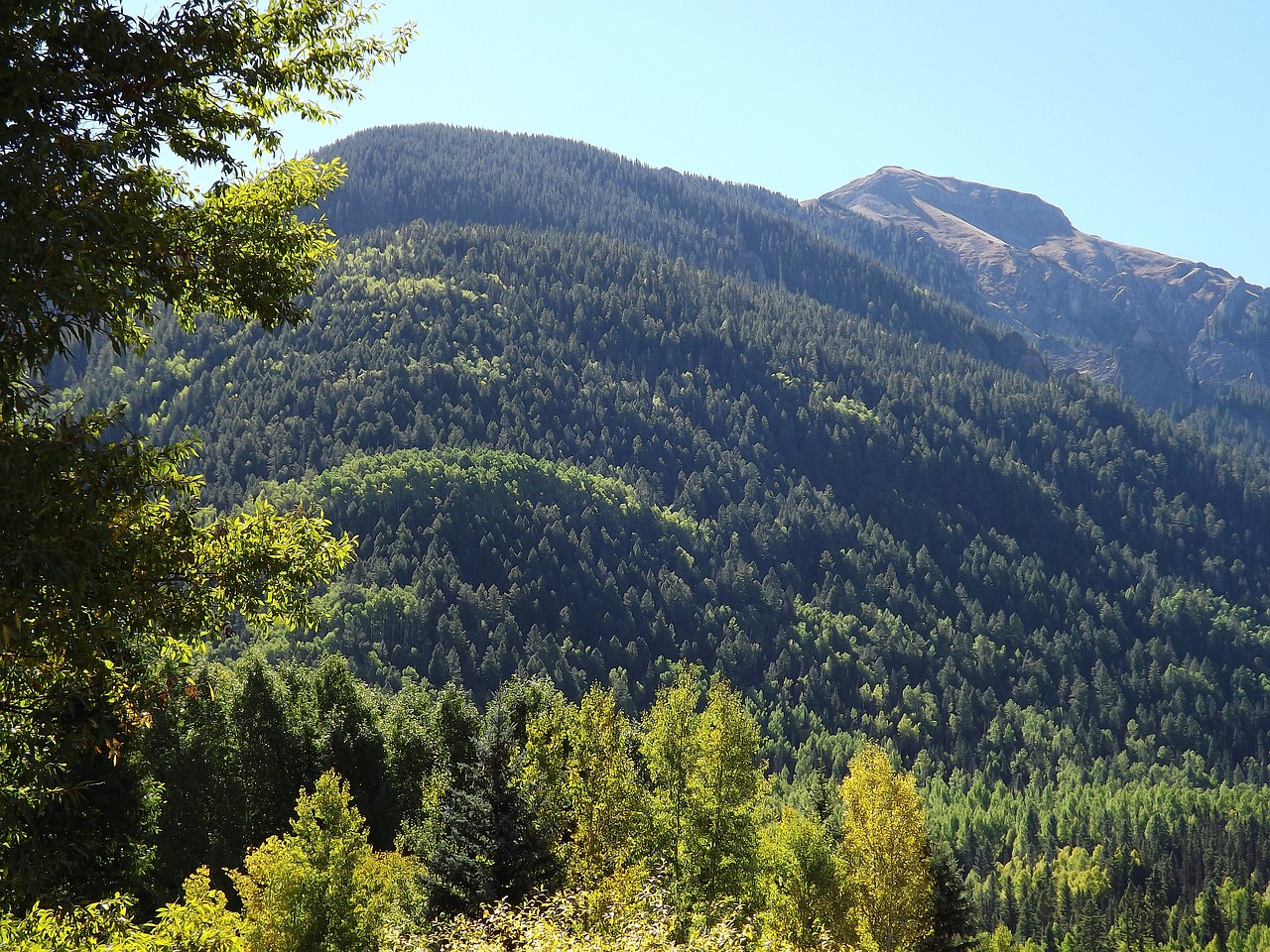 mountain changing colors fall free photo