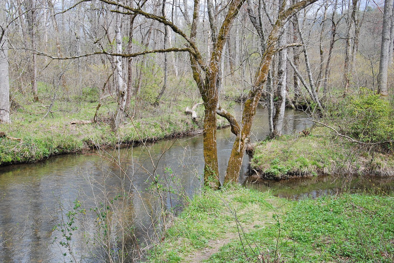 mountain stream river free photo