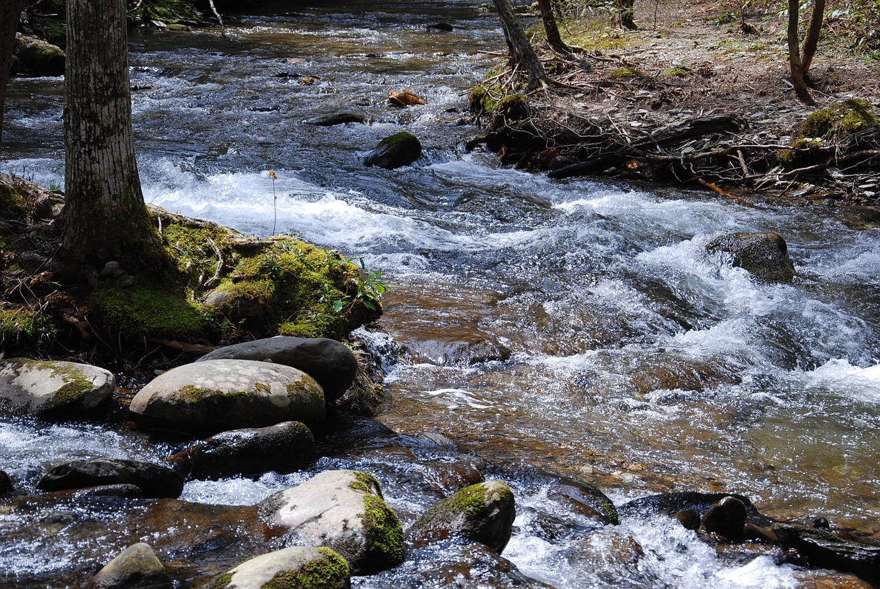 mountain stream rock free photo