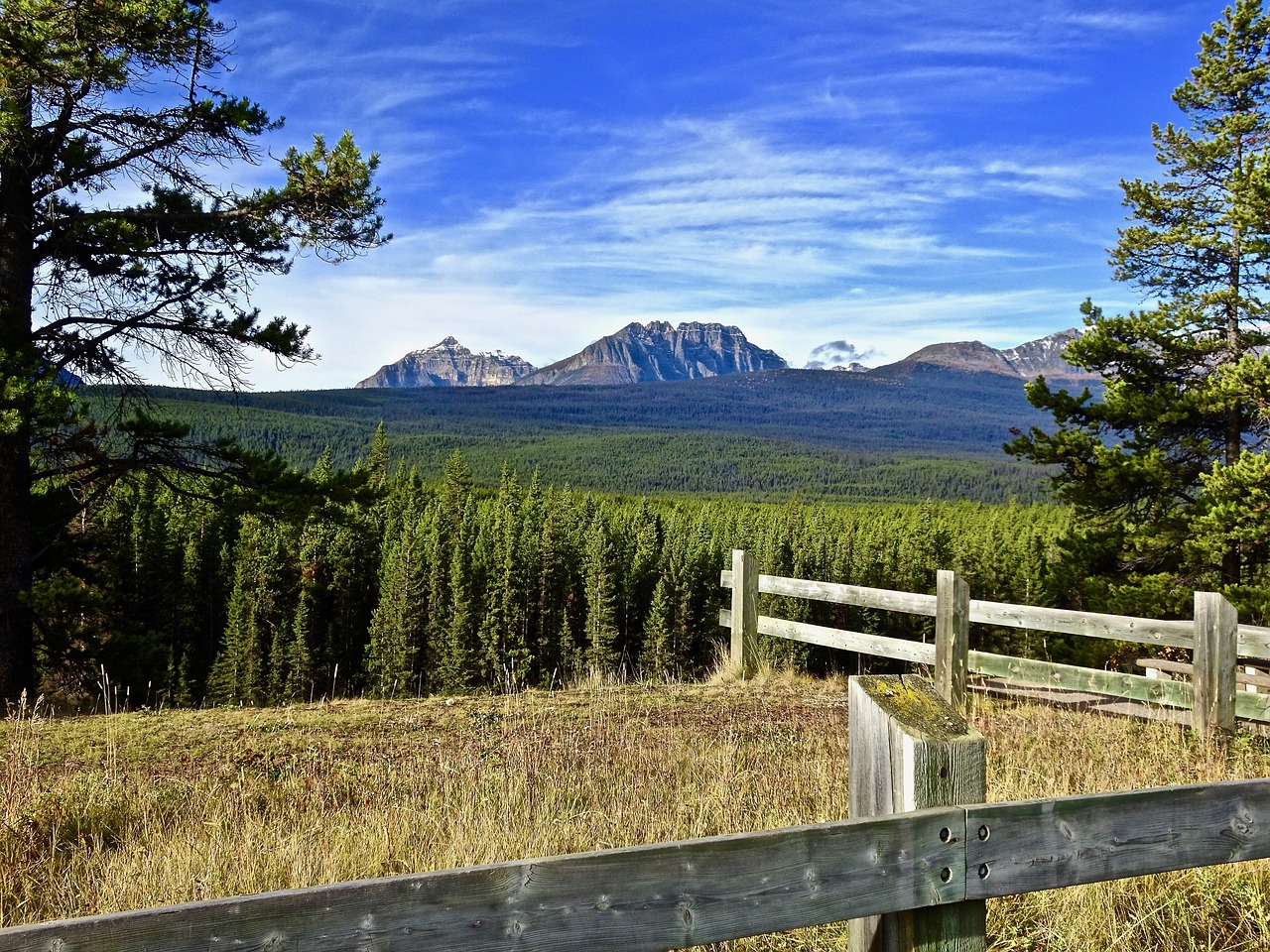 mountain forest perspective free photo