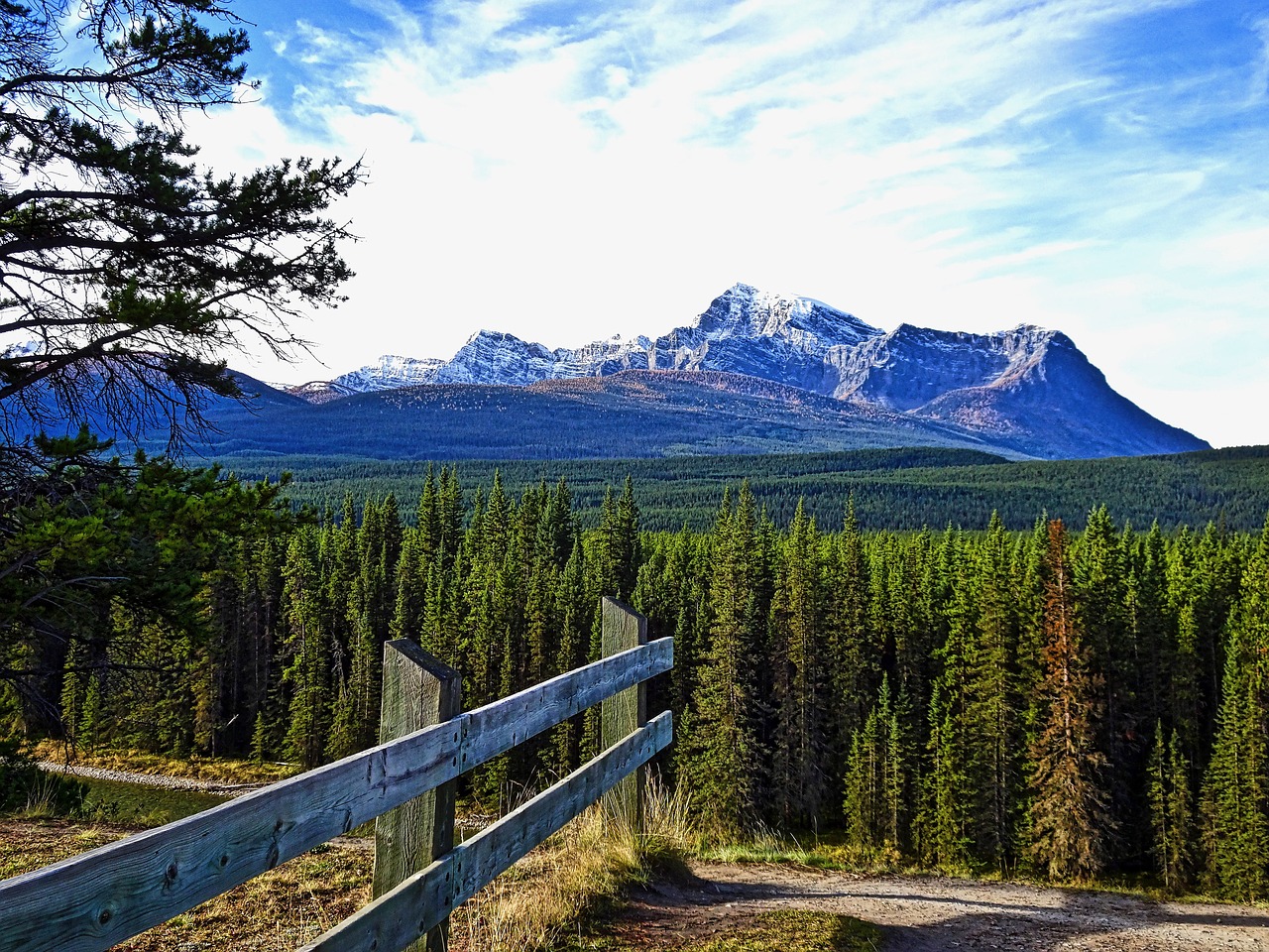 mountain forest perspective free photo