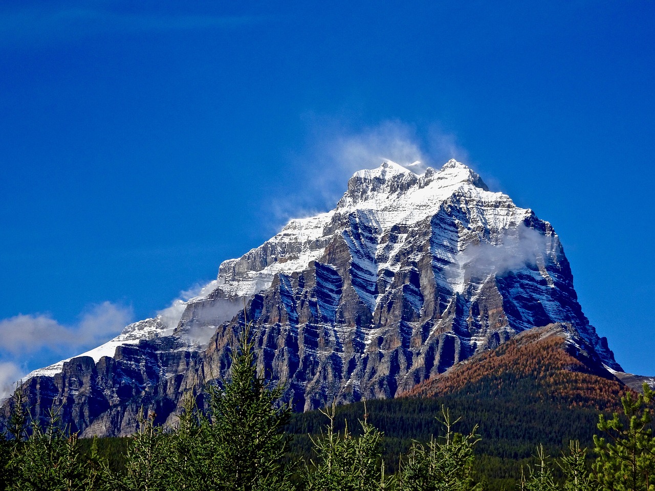 mountain forest peak free photo