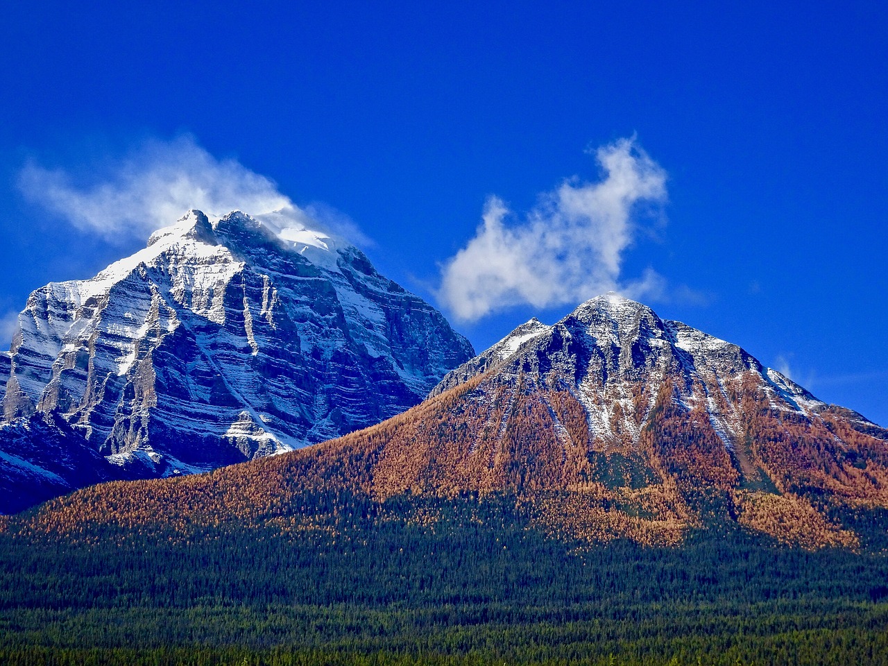 mountain forest peaks free photo