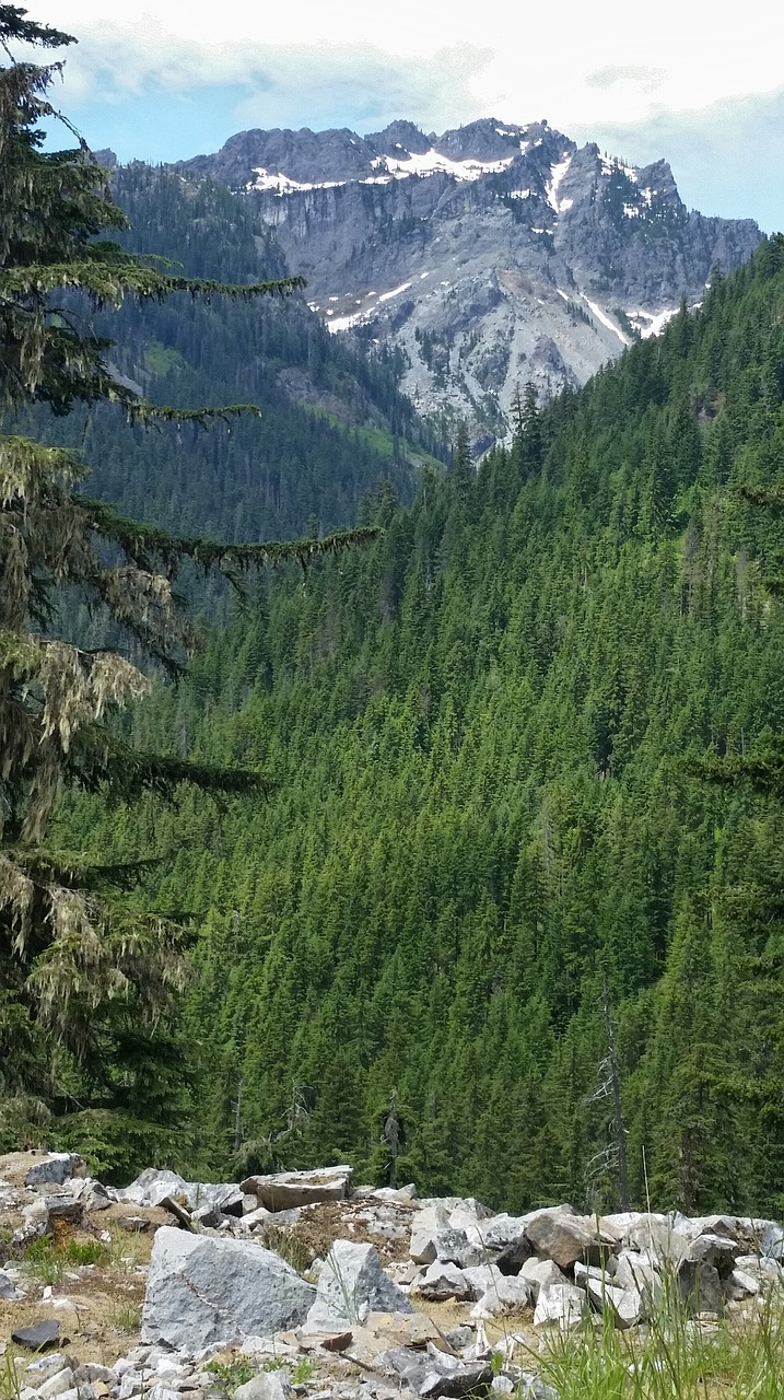 mountain snow snow peak free photo