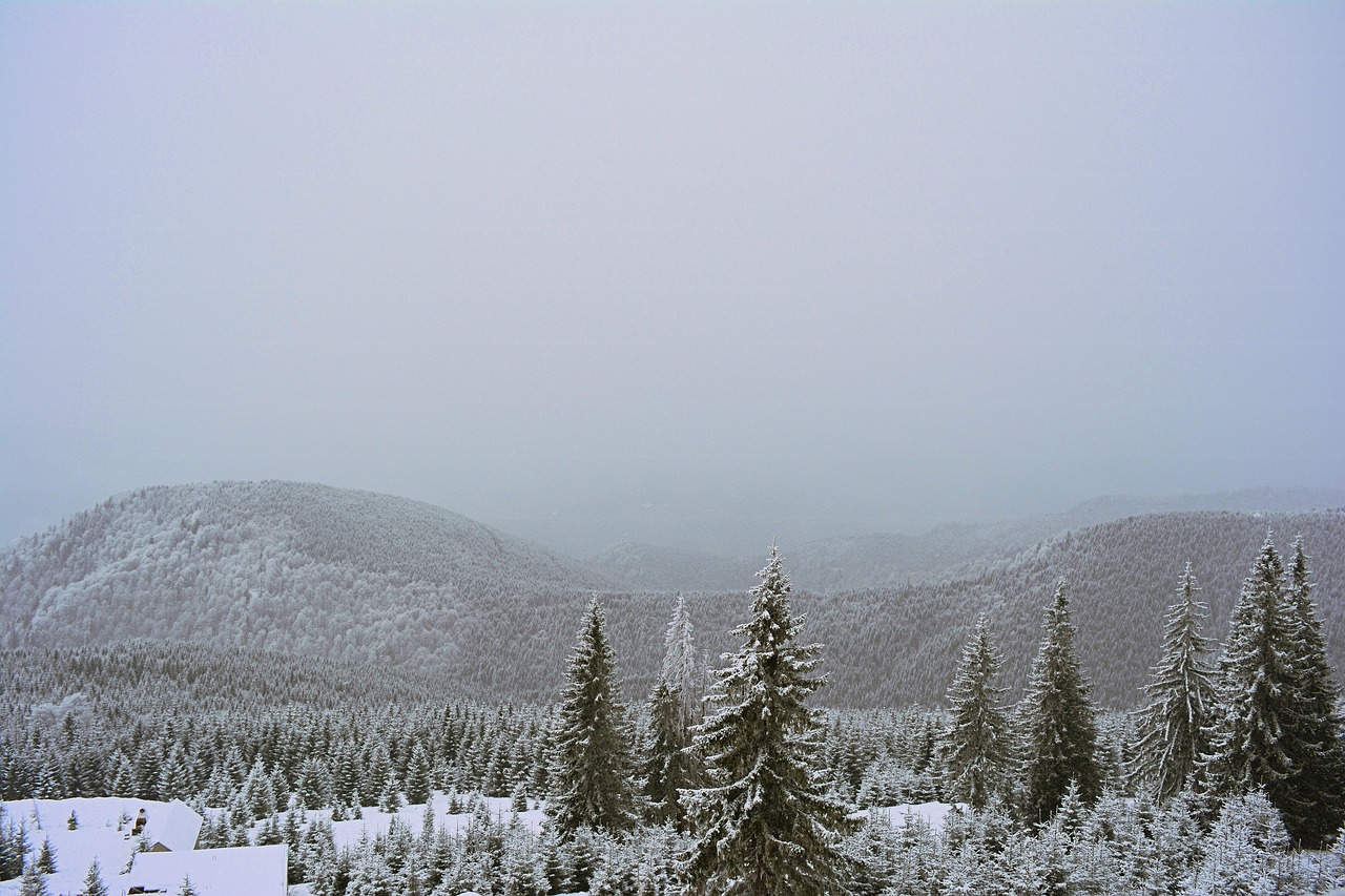mountain winter rânca free photo