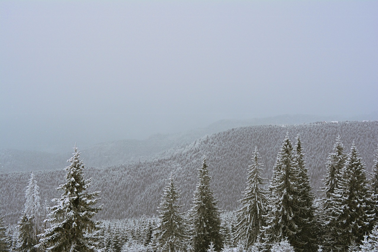 mountain winter rânca free photo