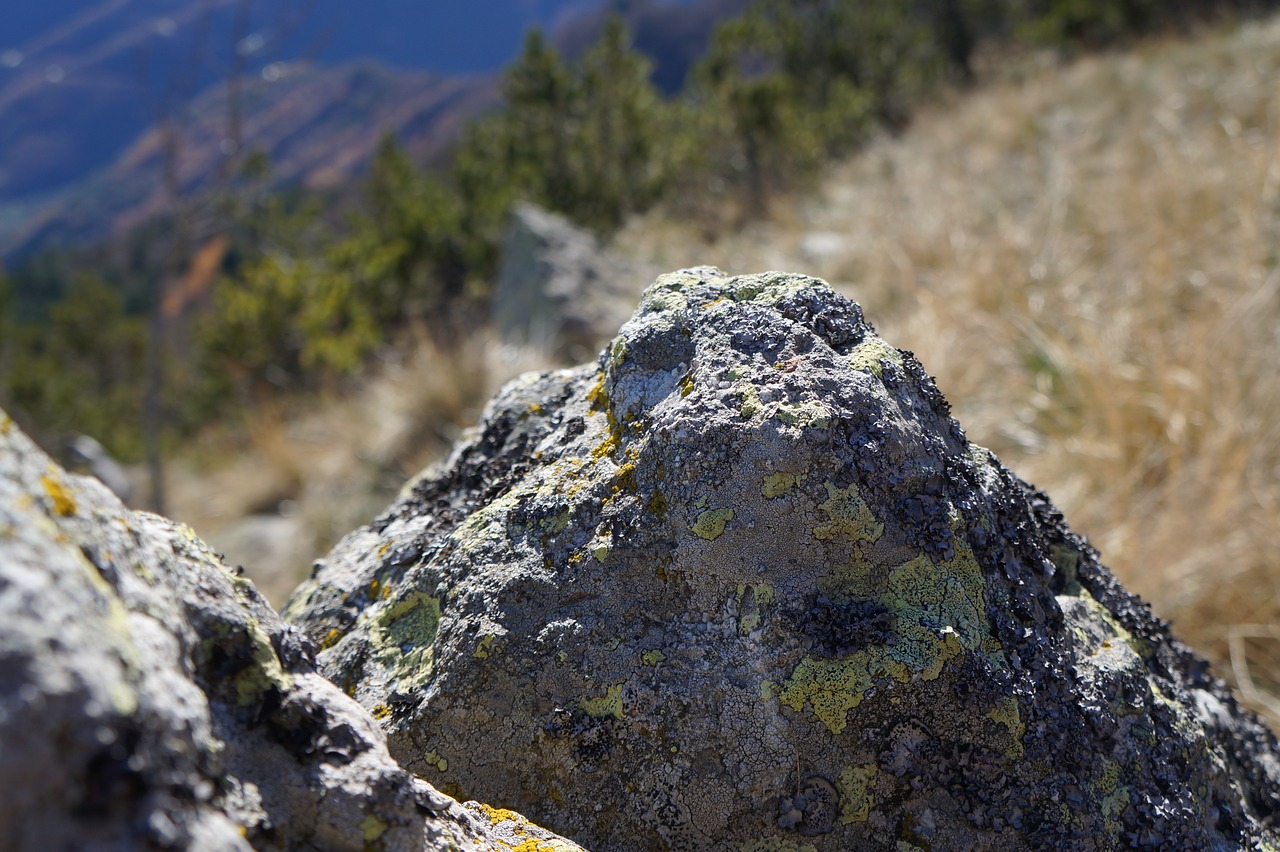 mountain hiking pierre free photo