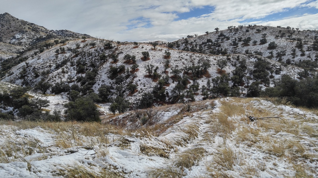 mountain forest hiking free photo