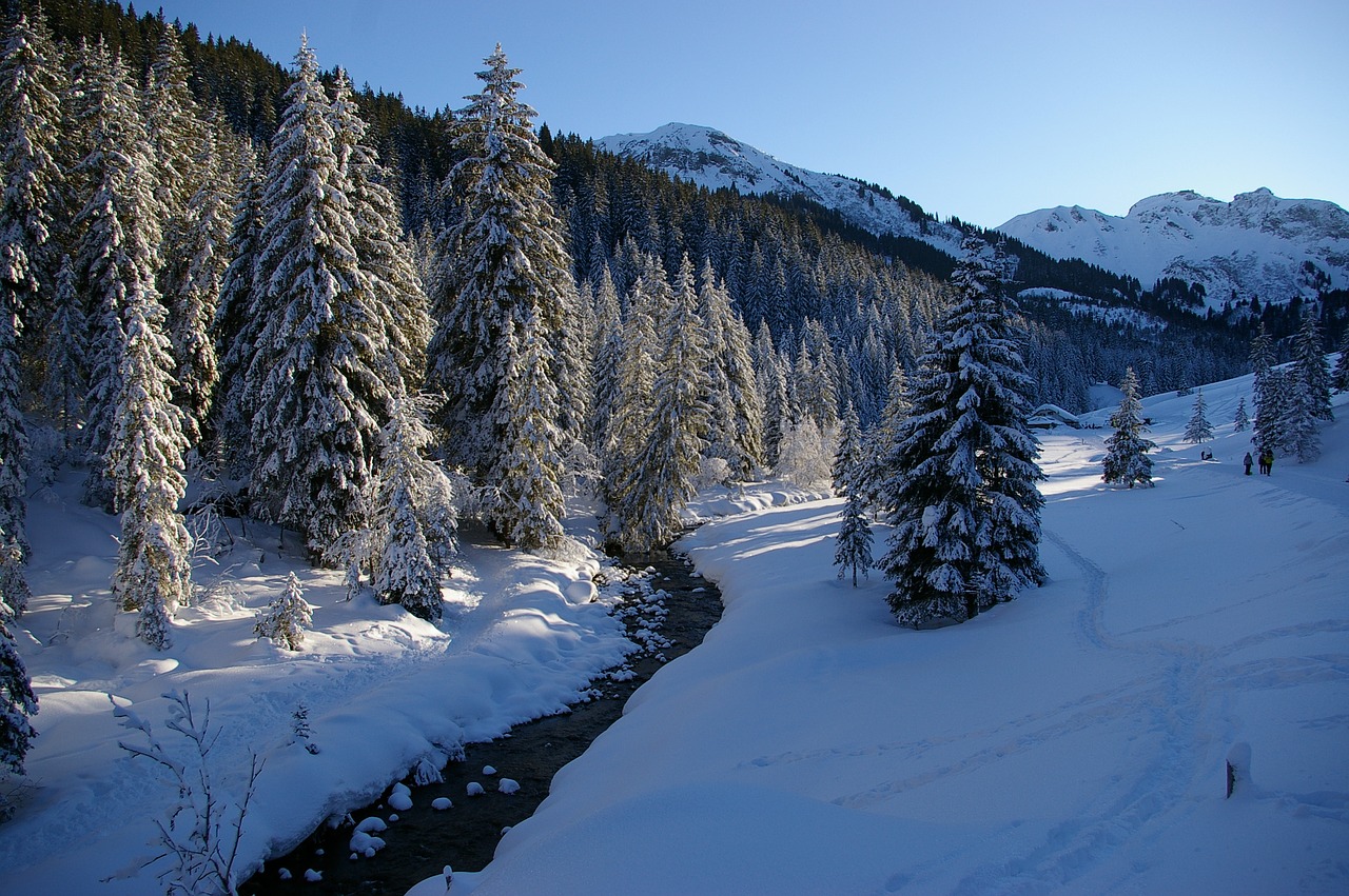 mountain alps creek free photo