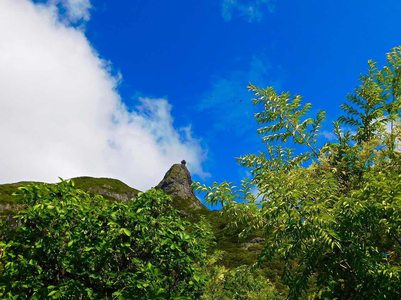 mountain landscape nature free photo