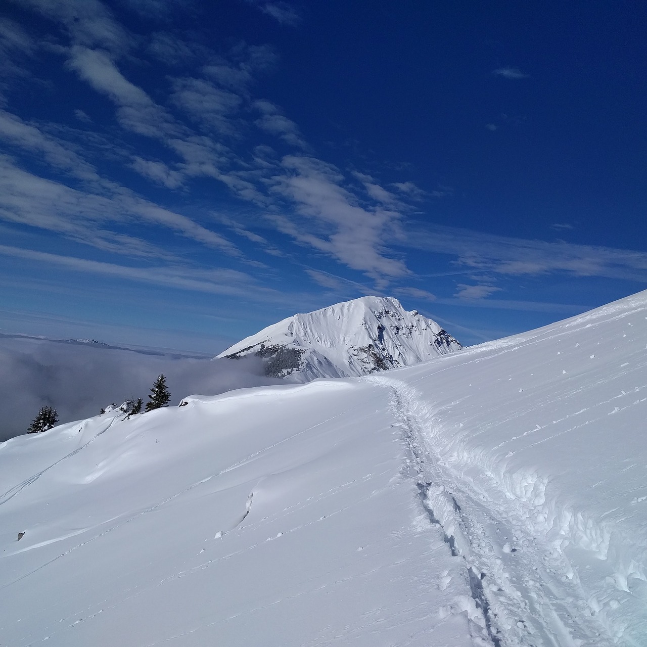 mountain winter snow free photo