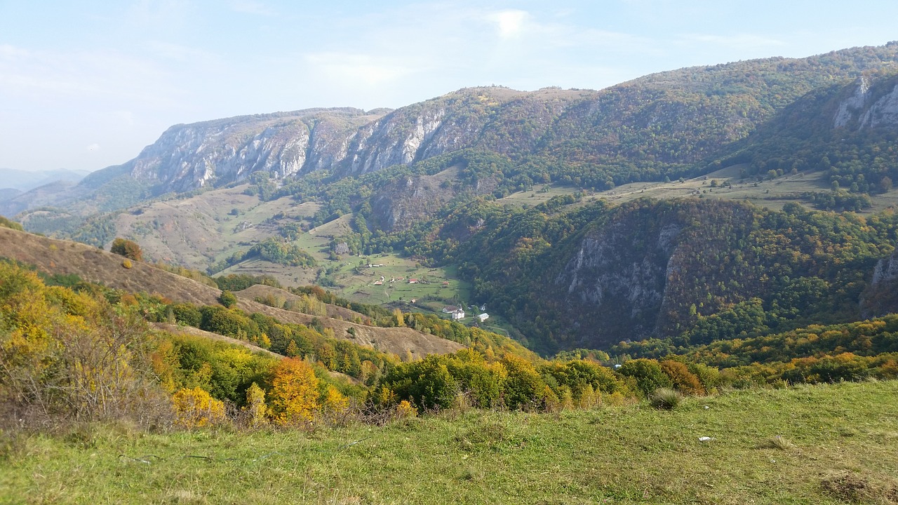 mountain grass romania free photo