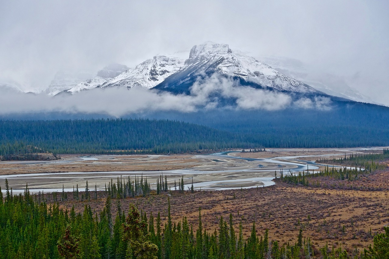 mountain wilderness mist free photo