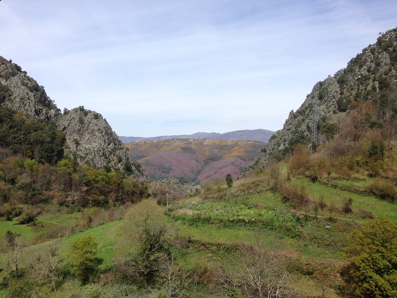 mountain landscape green free photo