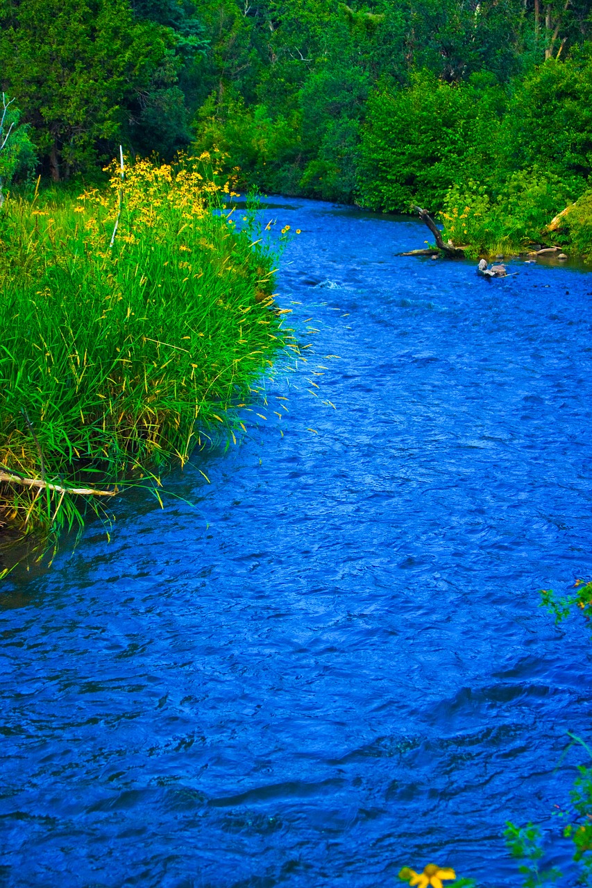 mountain river landscape free photo