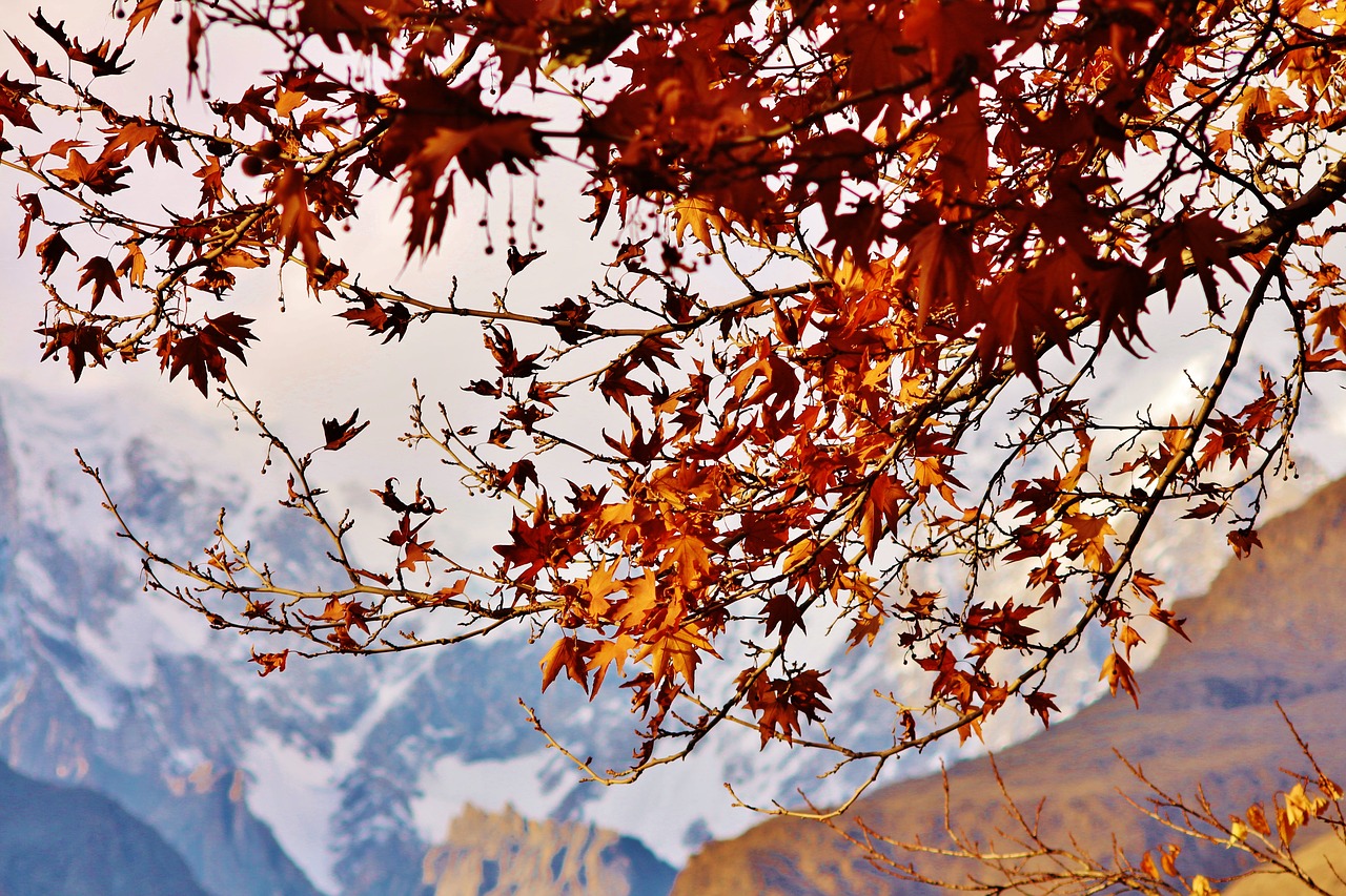 mountain autumn scenic free photo